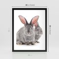 Plakat w ramie 40x50 - Uroczy królik wśród natury - królik, zając - rama czarna