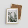 Plakat w ramie 30x40 - Imponujący Kaktus - duży kaktus, opuncja - rama drewno