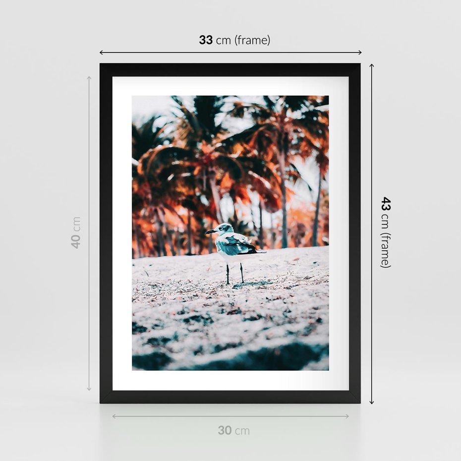 Plakat w ramie 30x40 - Tropikalna Uroda: Plaża z Mewą - tropikalna plaża, mewa na piasku - rama czarna