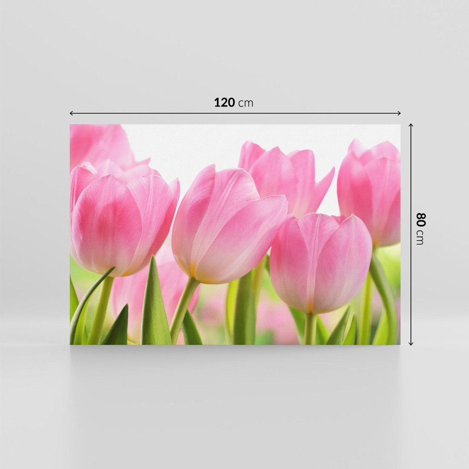 Obraz na płótnie 120x80 - Kwiaty w pełnym rozkwicie - kwiat, Kwiaty