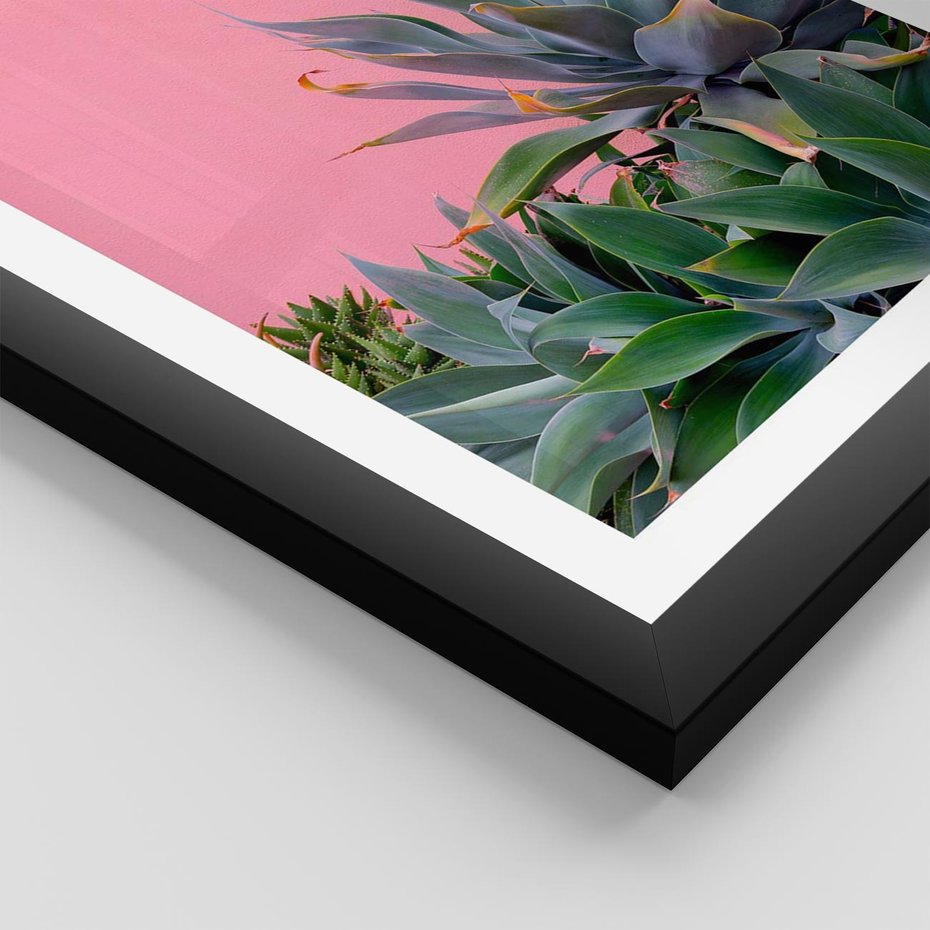 Plakat w ramie 40x50 - Tropikalne Liście na Różowej Ścianie - różowa ściana, tropikalne liście na jej tle - rama czarna