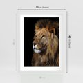 Plakat w ramie 30x40 - Władca Dzikiej Przyrody - lew, król - rama biała