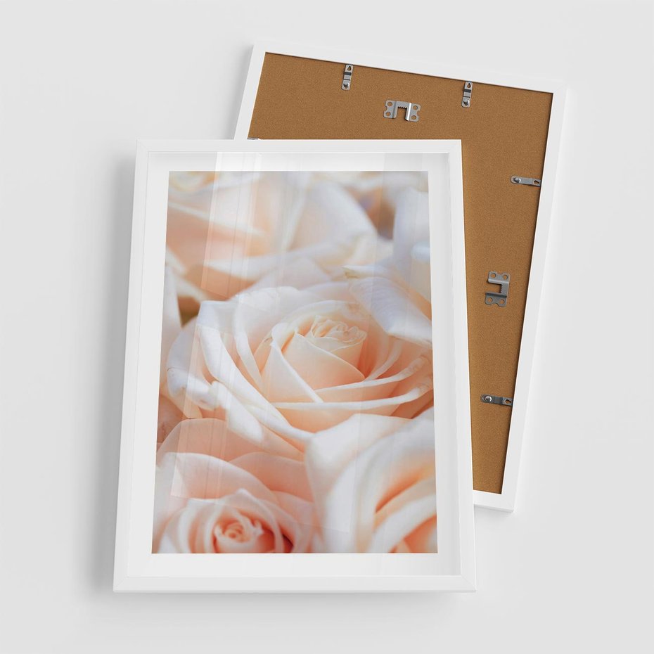 Plakat w ramie 50x70 - Aromatyczna Piękność - płatki herbacianej róży, kwiaty - rama biała
