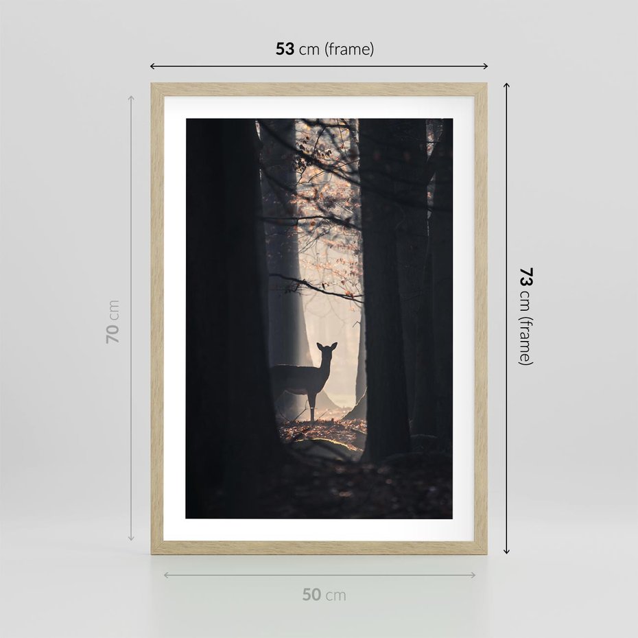 Plakat w ramie 50x70 - Sarnie Skoki - zdjęcie, klimatyczny las - rama drewno