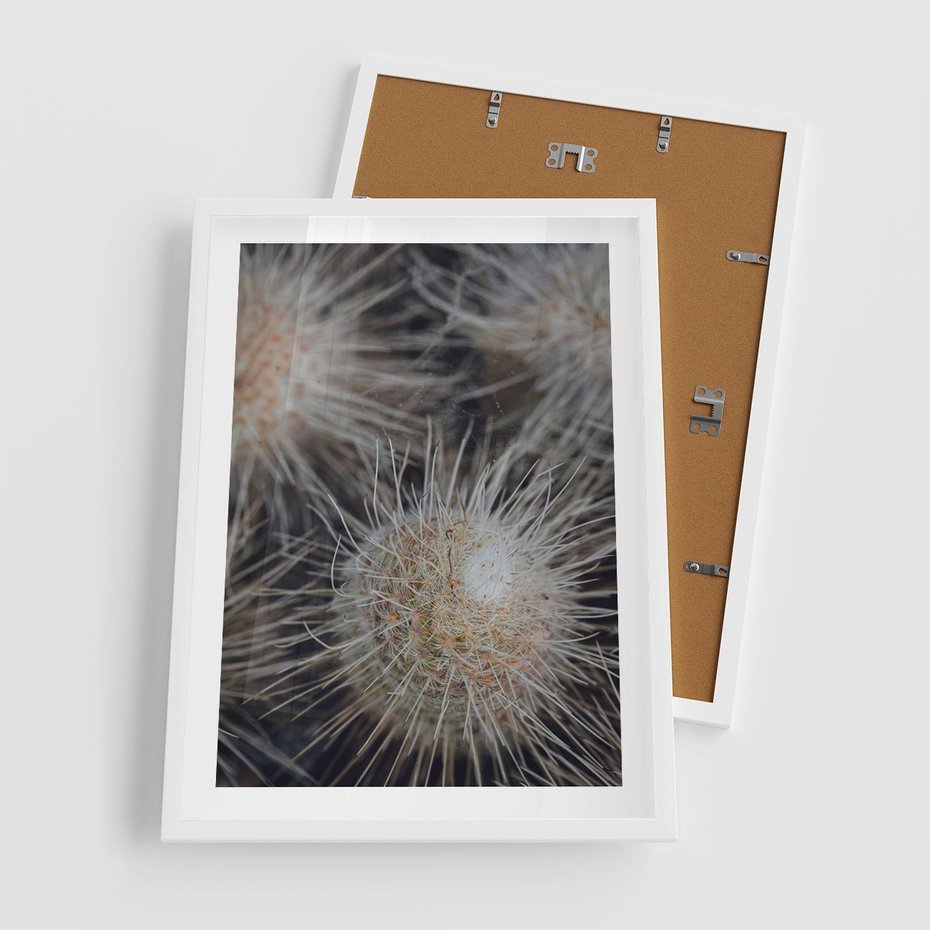 Plakat w ramie 50x70 - Ulotna Piękność Natury - makro, dmuchawce - rama biała