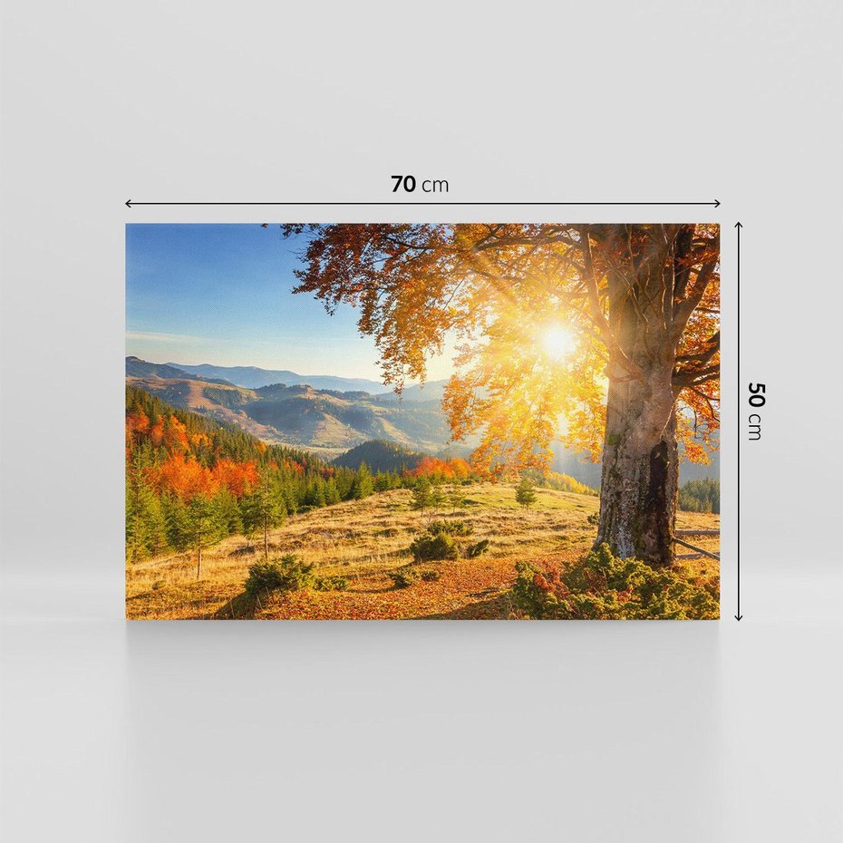 Obraz na płótnie 70x50 - Bliskość natury - góry, drzewo