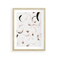 Plakat w ramie 30x40 - Kompozycja z Piór - pióra, kompozycja - rama drewno