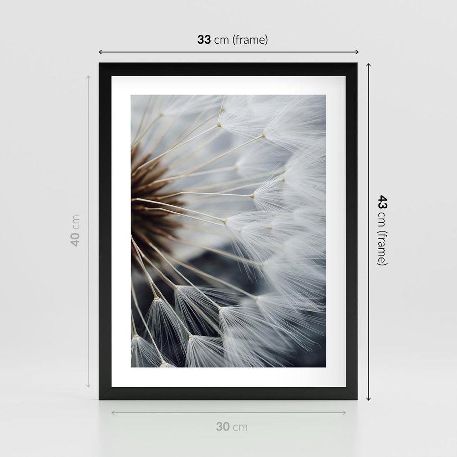 Plakat w ramie 30x40 - Dmuchawce w Naturze - dmuchawiec, zbliżenie - rama czarna
