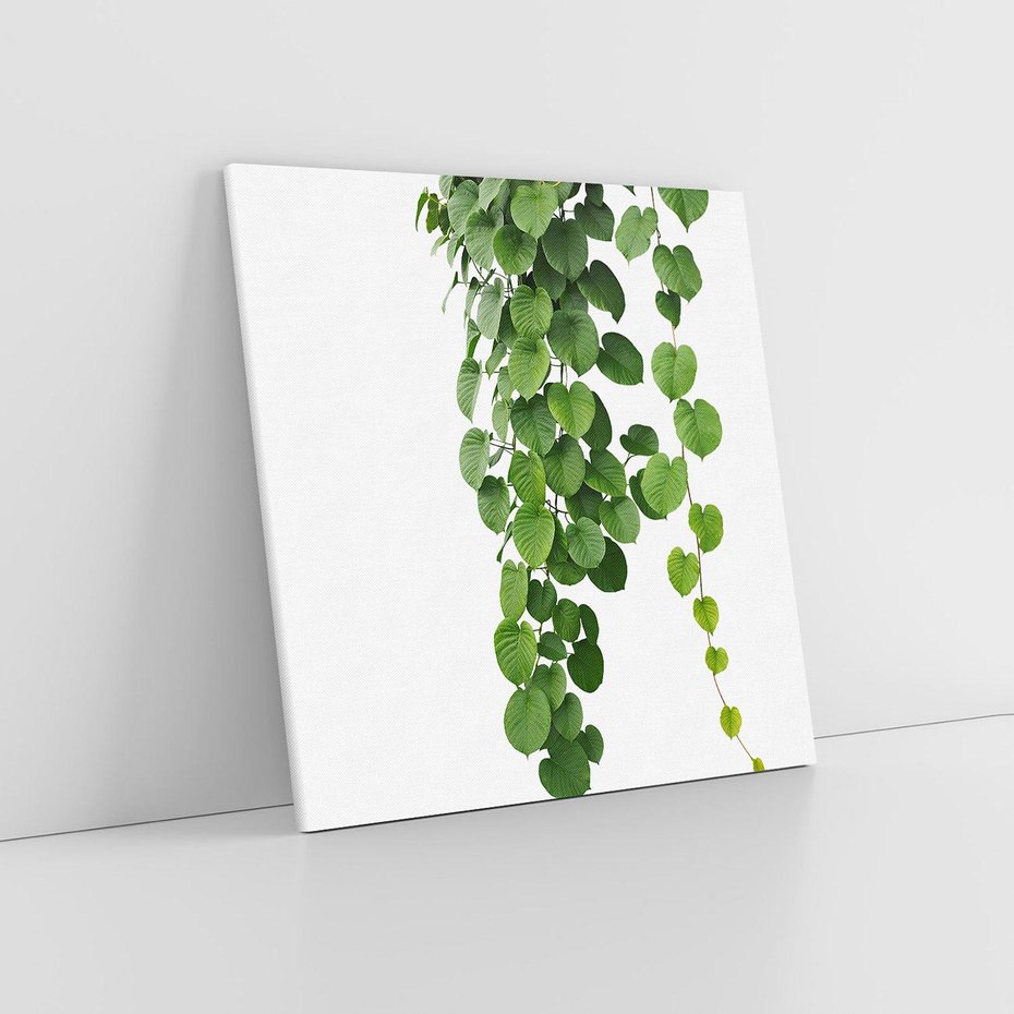 Obraz na płótnie 30x30 - Świeżość Natury - liście, zielone