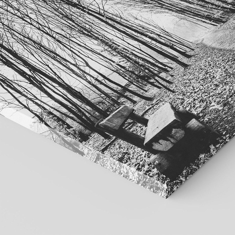 Obraz na płótnie 50x50 - Spadające Liście - czarno białe zdjecie, park