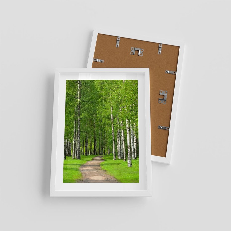 Plakat w ramie 30x40 - Spacer Ścieżką w Urokliwym Lesie - las, ścieżka - rama biała