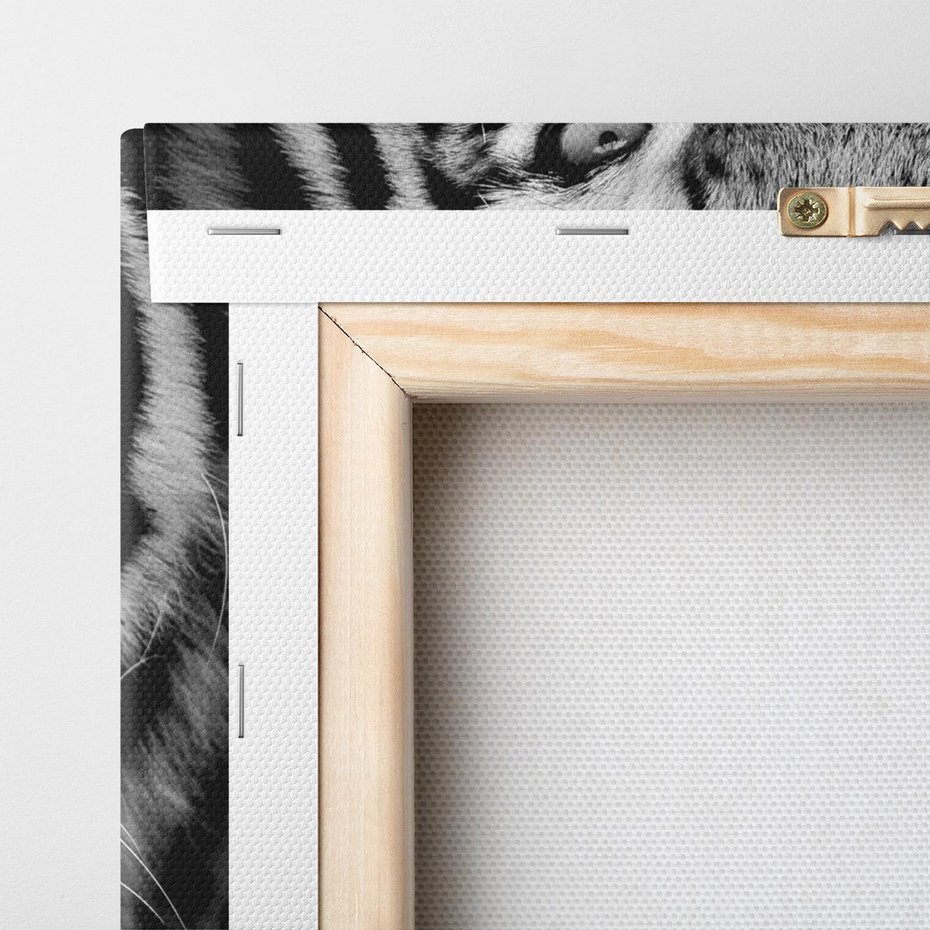 Obraz na płótnie 70x70 - Tygrys Czarno-Biały: Siła i Delikatność - tygrys, czarno