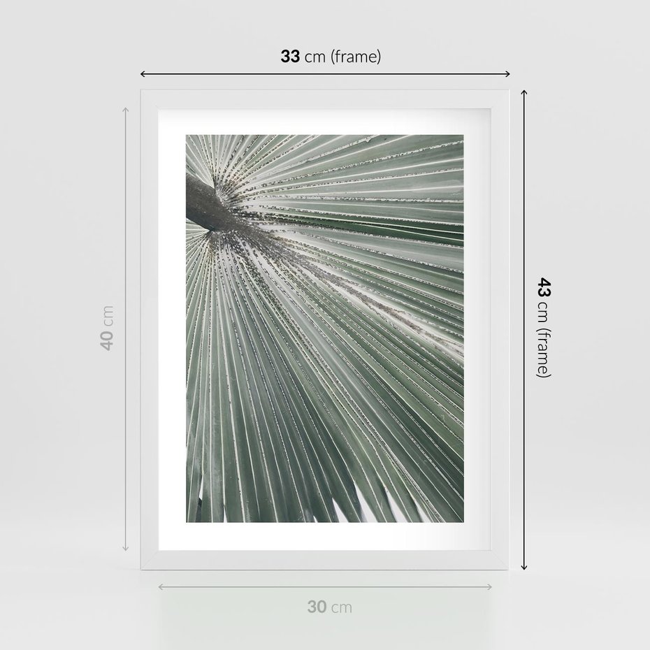Plakat w ramie 30x40 - Jasnozielony Świat - palma, liść - rama biała
