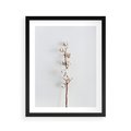 Plakat w ramie 40x50 - Minimalistyczna Gałązka Bawełny - bawełna, gałązka bawełny - rama czarna