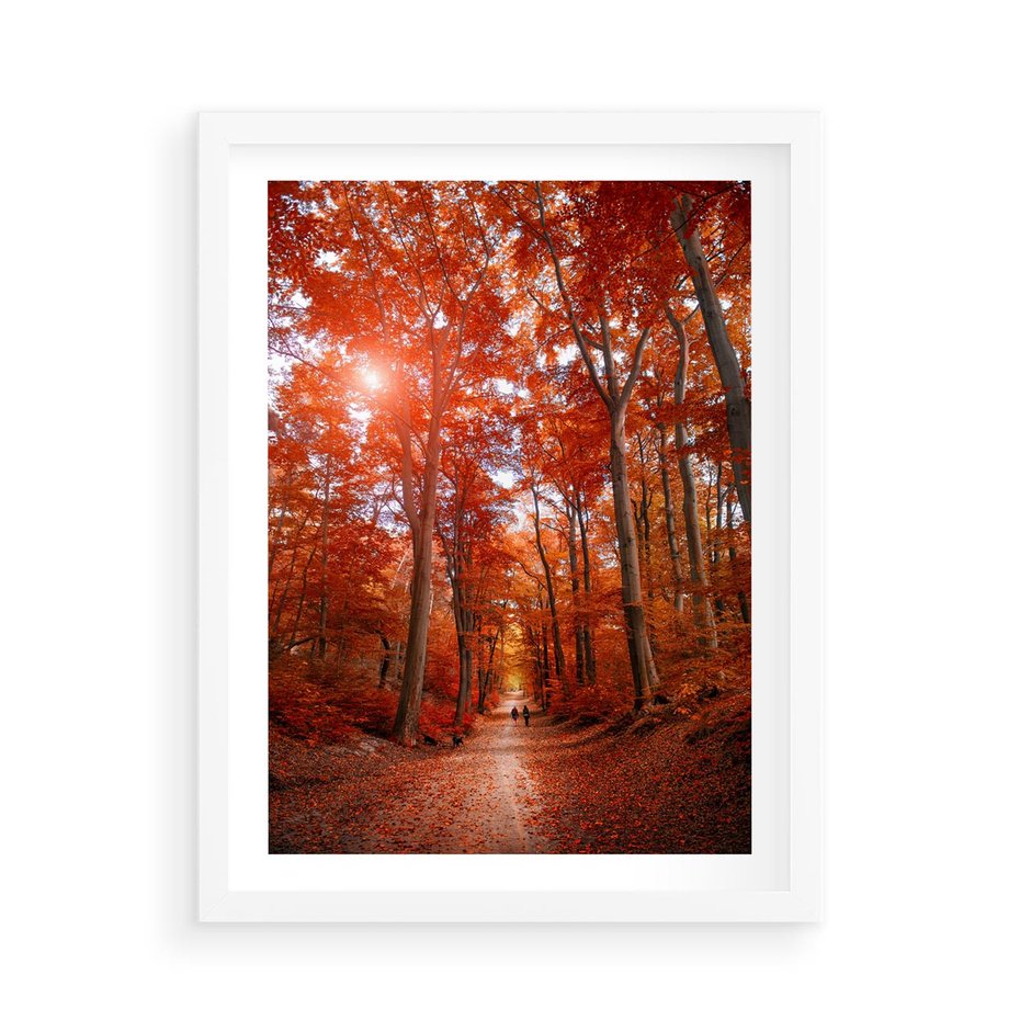 Plakat w ramie 50x70 - Magia jesiennego lasu - las, jesień - rama biała