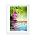 Plakat w ramie 50x70 - Oaza Storczyka i Wody - spa, storczyk - rama biała