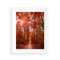 Plakat w ramie 40x50 - Magia jesiennego lasu - las, jesień - rama biała