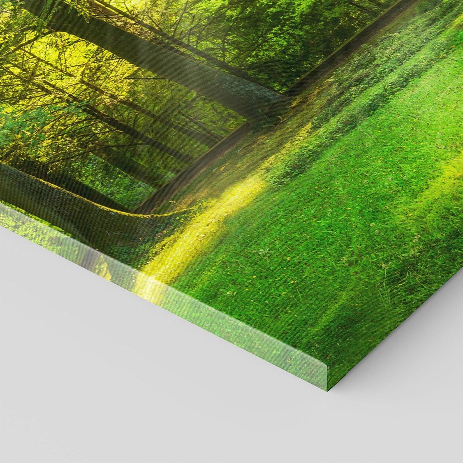 Obraz na płótnie 70x100 - Moc lasu - las, drzewa