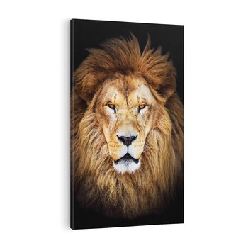 Obraz na płótnie 70x100 - Król zwierząt w majestatycznym stylu - lew, król