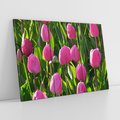 Obraz na płótnie 120x80 - Tulipanowa harmonia - tulipany, kwiaty
