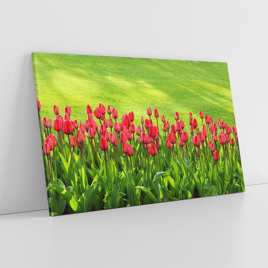 Obraz na płótnie 120x80 - Tulipanowy raj - kwiat, kwiaty