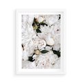 Plakat w ramie 50x70 - Modne Białe Kwiaty - białe kwiaty, płatki - rama biała