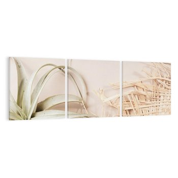 Obraz na płótnie 150x50 - Boho urok suchych liści - suche, liście
