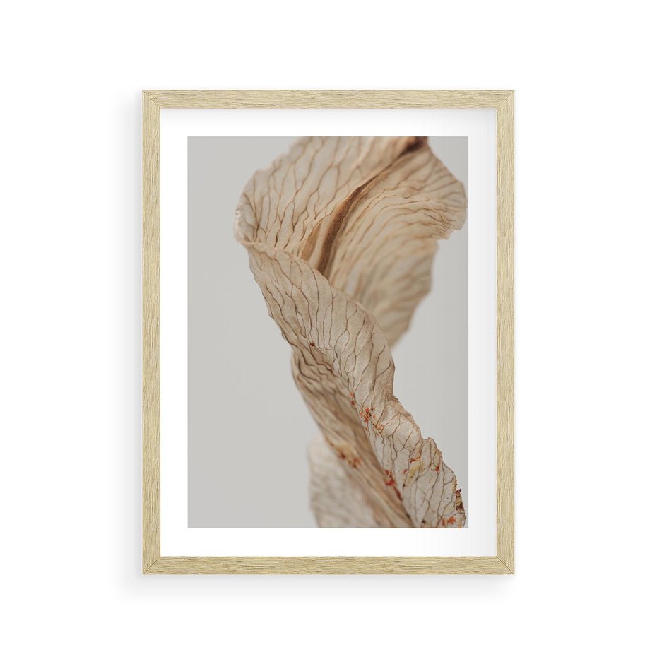 Plakat w ramie 30x40 - Suszone piękno - susz, suche - rama drewno