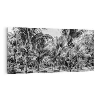 Obraz na płótnie 120x60 - Mroczna Ścieżka Tropików - czarno biała fotografia, ścieżka pośród palm
