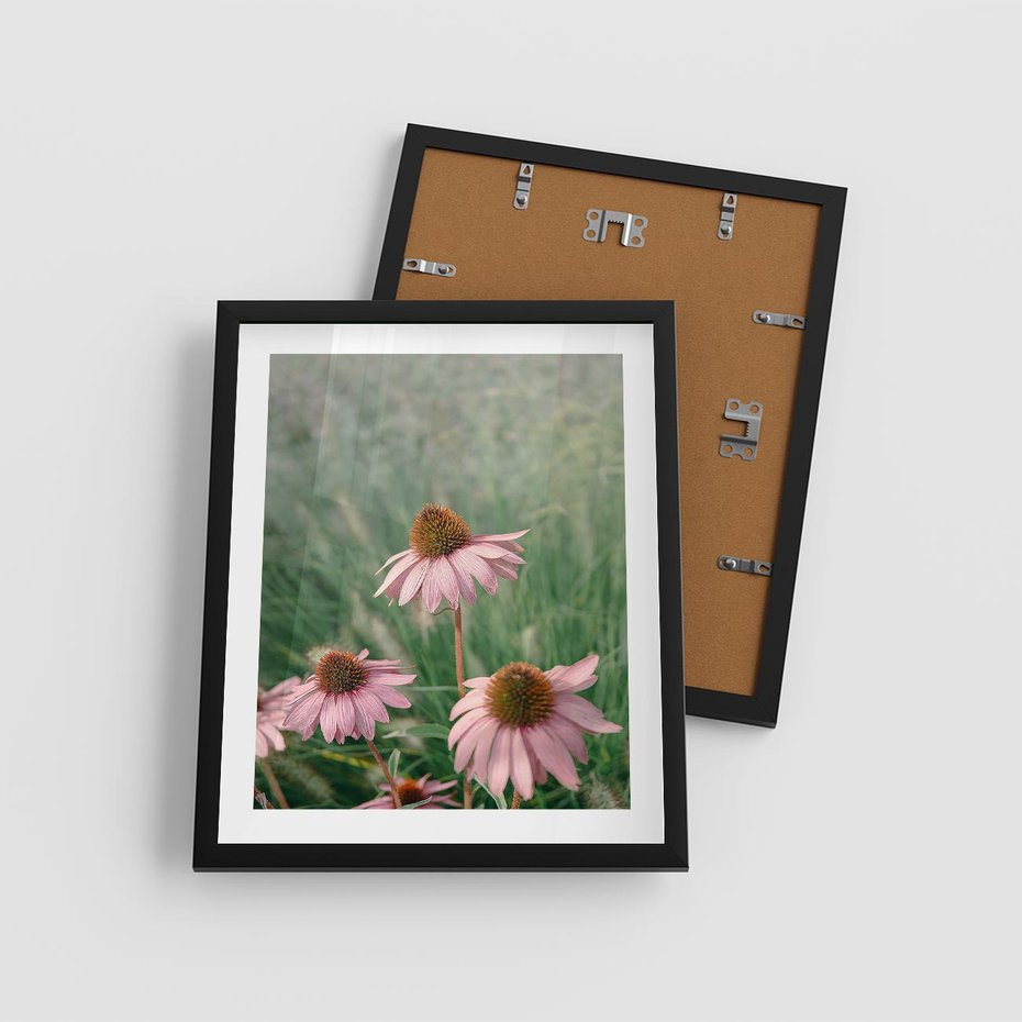 Plakat w ramie 40x50 - Natura w Pełnym Blasku - kwiaty na łące, różowe kwiaty polne - rama czarna
