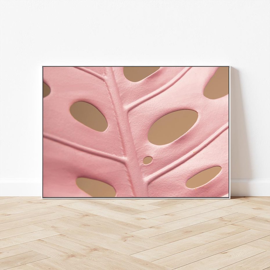 Obraz w ramie 100x70 - Różowa monstera w pełnym rozkwicie - różowa, monstera - rama biała