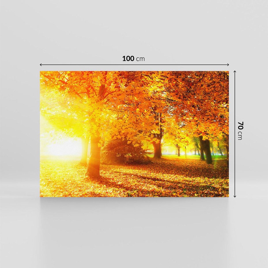 Obraz na płótnie 100x70 - Magia jesiennego lasu - las, drzewa