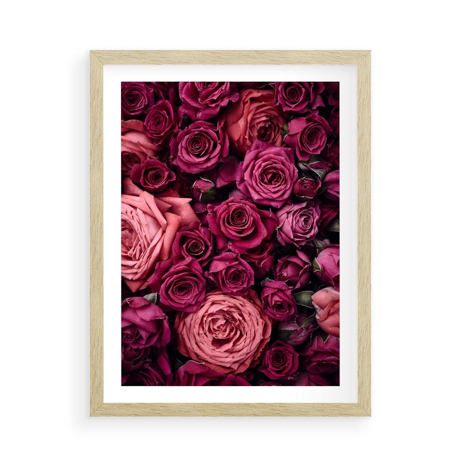 Plakat w ramie 50x70 - Róże - piękno kwiatów - róże, kwiaty - rama drewno