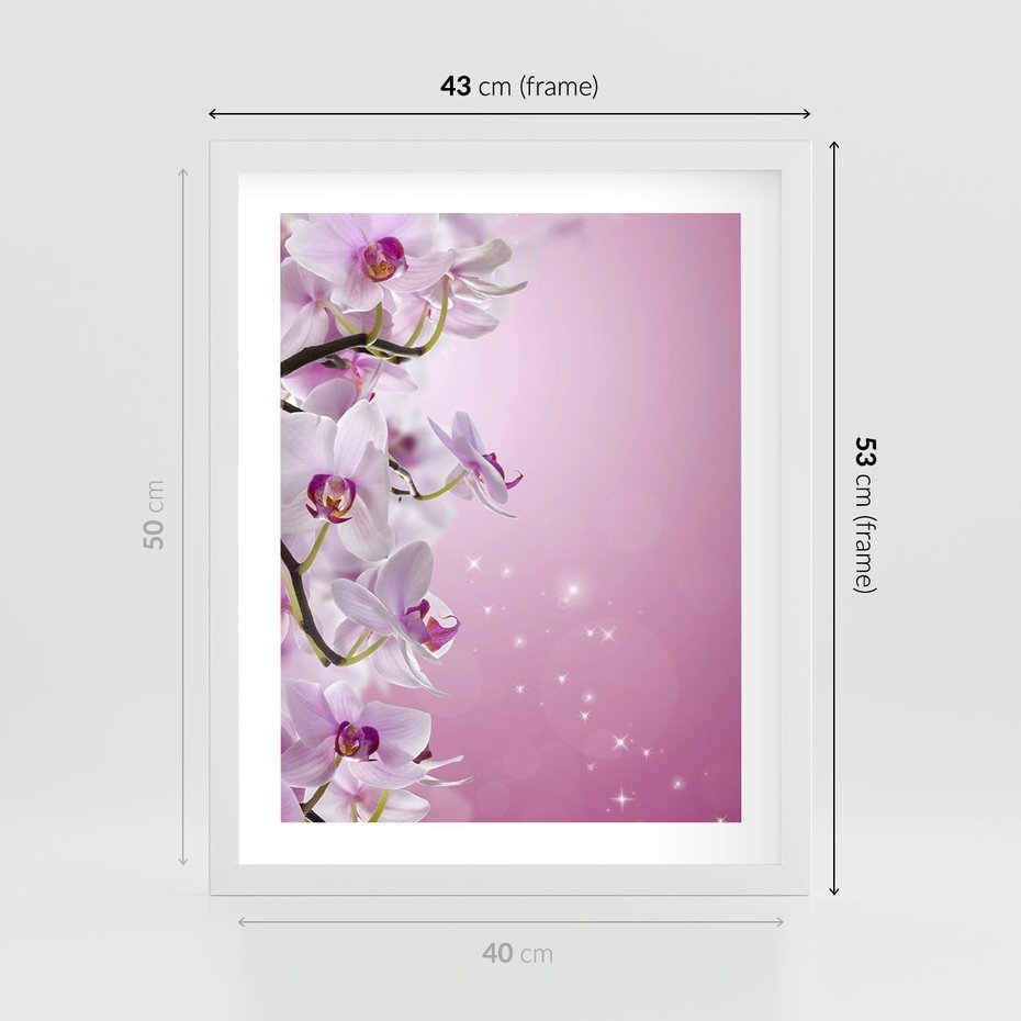 Plakat w ramie 40x50 - Relaksujące Piękno - kwiaty, orchidea - rama biała