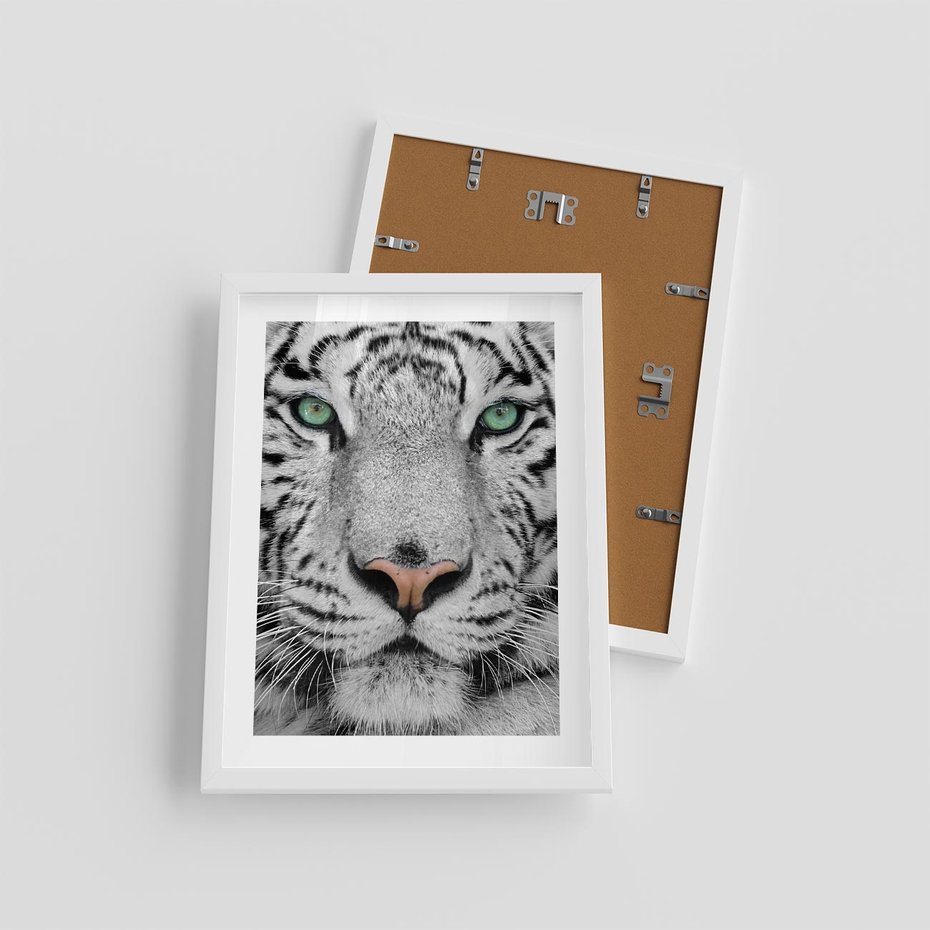 Plakat w ramie 30x40 - Magia Białego Tygrysa - biały, tygrys - rama biała
