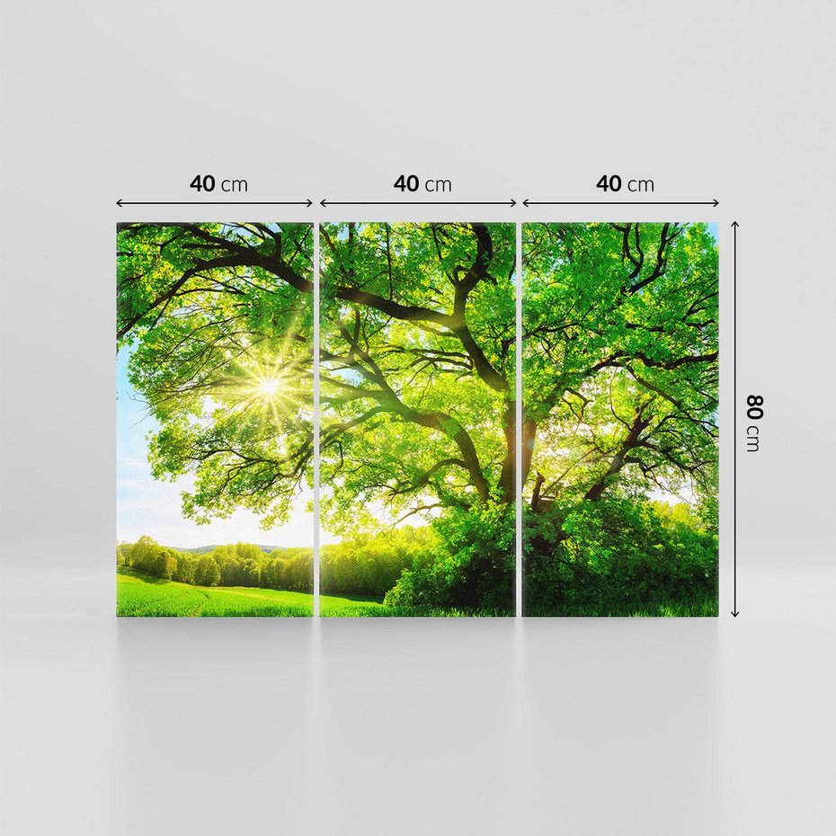 Obraz na płótnie 120x80 - Natura w pełnym rozkwicie - drzewo, niebo