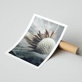 Plakat bez ramy 30x40 - Makro Dmuchawiec - dmuchawiec, zbliżenie