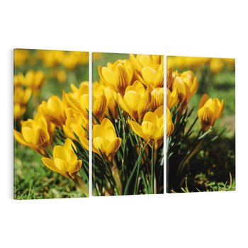 Obraz na płótnie 120x80 - Kwiatowe uniesienia natury - kwiat, kwiaty