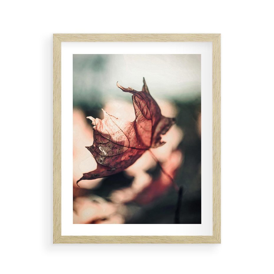 Plakat w ramie 40x50 - Liść w Jesieni - jesienny liść, czerwony - rama drewno
