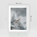 Plakat w ramie 30x40 - Piękno w Delikatności - dmuchawiec, makro zdjęcie - rama biała