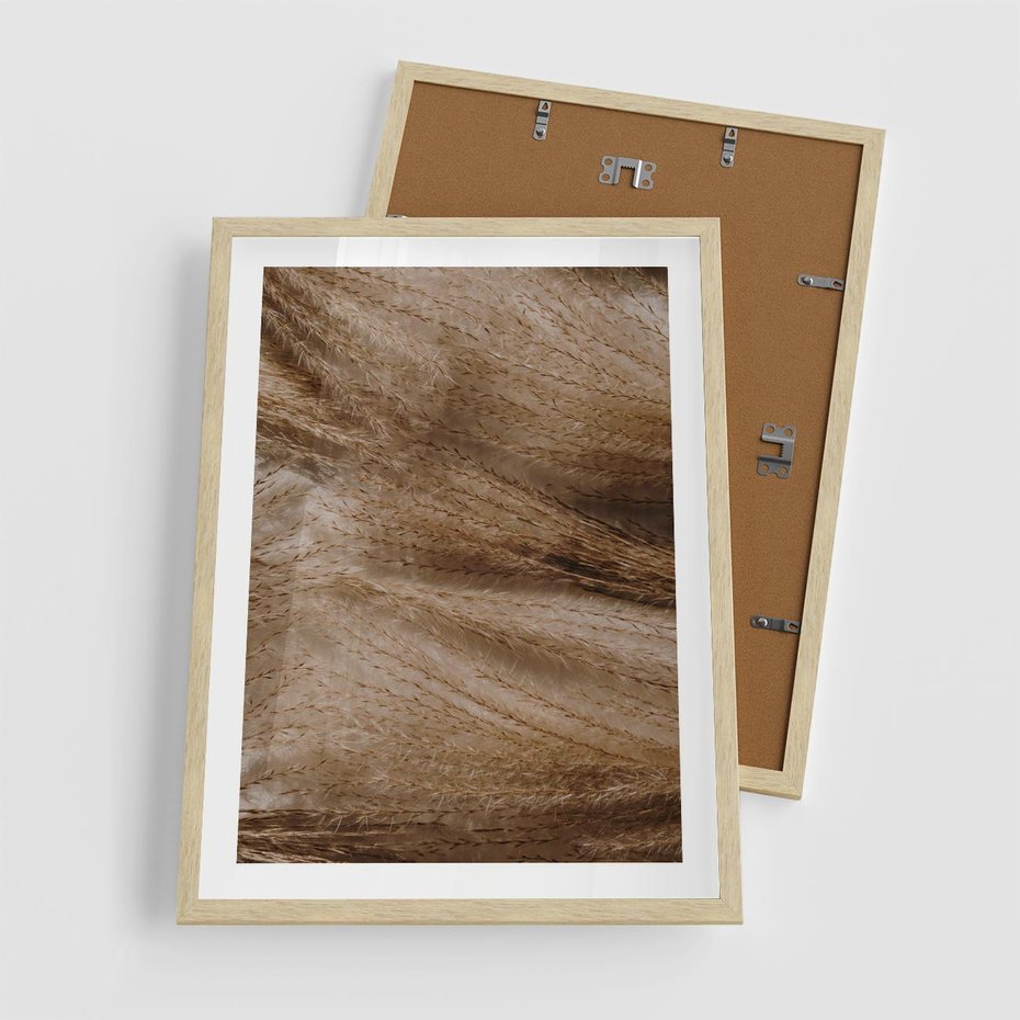 Plakat w ramie 50x70 - Pampasowy Brąz - suche trawy, trawa pampasowa - rama drewno