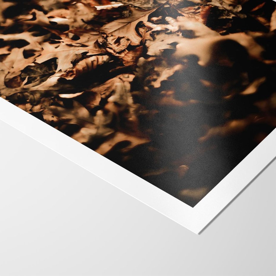 Plakat bez ramy 50x70 - Jesienne Liście: Nostalgiczna Kolorystyka - suche liście, jesień