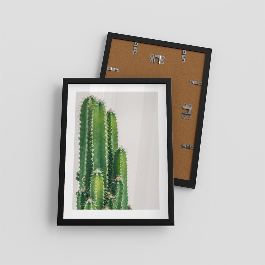 Plakat w ramie 30x40 - Minimalistyczne Kaktusy na Białym Tle - kaktusy, minimalistyczna fotografia - rama czarna