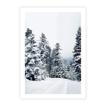 Plakat bez ramy 40x50 - Zimowy Las Pod Kołdrą - las, zima