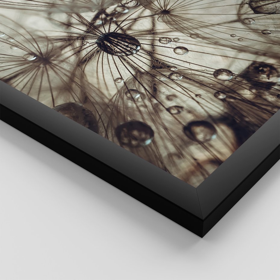 Zestaw obrazy w ramie 30x40 galeria - Dmuchawce, krople, wody, makro - rama czarna