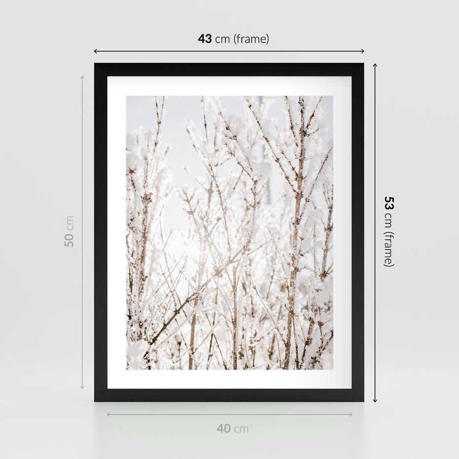 Plakat w ramie 40x50 - Szron na Gałęziach - ośnieżone gałązki, szron na gałęziach - rama czarna