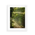 Plakat w ramie 30x40 - harmonia natury - las, drzewa - rama biała