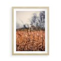 Plakat w ramie 50x70 - Jesienna Melancholia - suche trawy, jesień - rama drewno