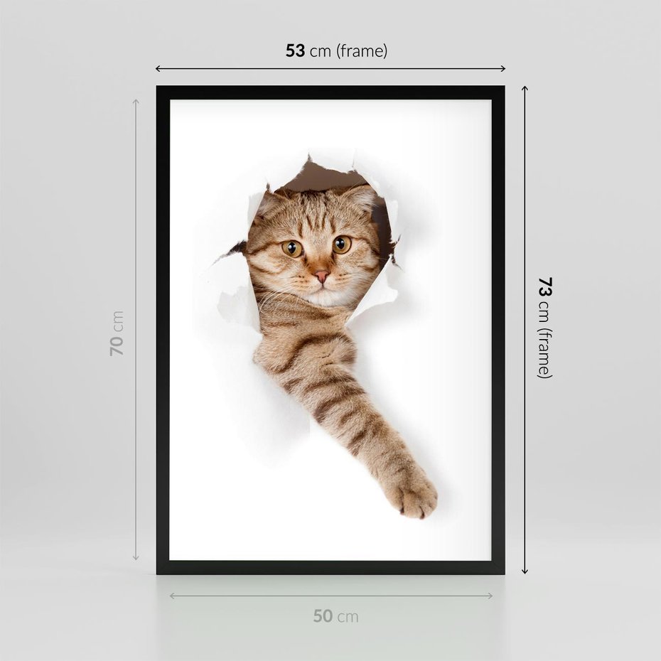 Plakat w ramie 50x70 - Kot w Dziurze - kot, dziura - rama czarna