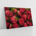Obraz na płótnie 70x50 - Piękno róż: delikatność natury - róże, kwiaty